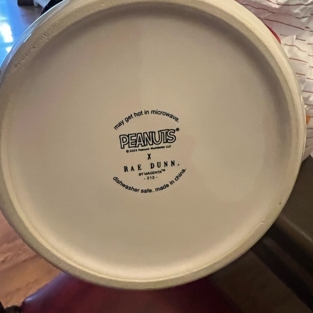 Rae Dunn Snoopy "Spooktacular" Pet Bowl - Picture 3 of 3